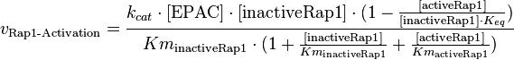 v_{\text{Rap1-Activation}} = \frac{k_{cat} \cdot [\text{EPAC}] \cdot [\text{inactiveRap1}] \cdot (1-\frac{[\text{activeRap1}]}{[\text{inactiveRap1}] \cdot K_{eq}})}{Km_{\text{inactiveRap1}} \cdot (1 + \frac{[\text{inactiveRap1}]}{Km_{\text{inactiveRap1}}} + \frac{[\text{activeRap1}]}{Km_{\text{activeRap1}}})}