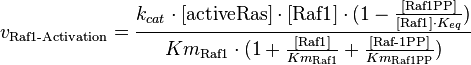 v_{\text{Raf1-Activation}} = \frac{k_{cat} \cdot [\text{activeRas}] \cdot [\text{Raf1}] \cdot (1-\frac{[\text{Raf1PP}]}{[\text{Raf1}] \cdot K_{eq}})}{Km_{\text{Raf1}} \cdot (1 + \frac{[\text{Raf1}]}{Km_{\text{Raf1}}} + \frac{[\text{Raf-1PP}]}{Km_{\text{Raf1PP}}})}