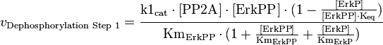  v_{\text{Dephosphorylation Step 1}} = \frac{\text{k1}_{\text{cat}} \cdot [\text{PP2A}] \cdot [\text{ErkPP}] \cdot (1-\frac{[\text{ErkP}]}{[\text{ErkPP}] \cdot \text{K}_{\text{eq}}})}{\text{Km}_{\text{ErkPP}} \cdot (1 + \frac{[\text{ErkPP}]}{\text{Km}_{\text{ErkPP}}} + \frac{[\text{ErkP}]}{\text{Km}_{\text{ErkP}}})} 