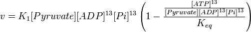 v = K_1[Pyruvate][ADP]^{13}[Pi]^{13}\left(1-\frac{\frac{[ATP]^{13}}{[Pyruvate][ADP]^{13}[Pi]^{13}}}{K_{eq}}\right)