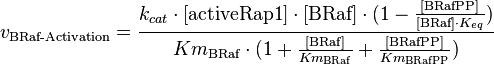 v_{\text{BRaf-Activation}} = \frac{k_{cat} \cdot [\text{activeRap1}] \cdot [\text{BRaf}] \cdot (1-\frac{[\text{BRafPP}]}{[\text{BRaf}] \cdot K_{eq}})}{Km_{\text{BRaf}} \cdot (1 + \frac{[\text{BRaf}]}{Km_{\text{BRaf}}} + \frac{[\text{BRafPP}]}{Km_{\text{BRafPP}}})}