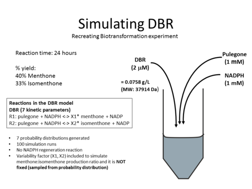 DBR biotrans toogood simulation.png