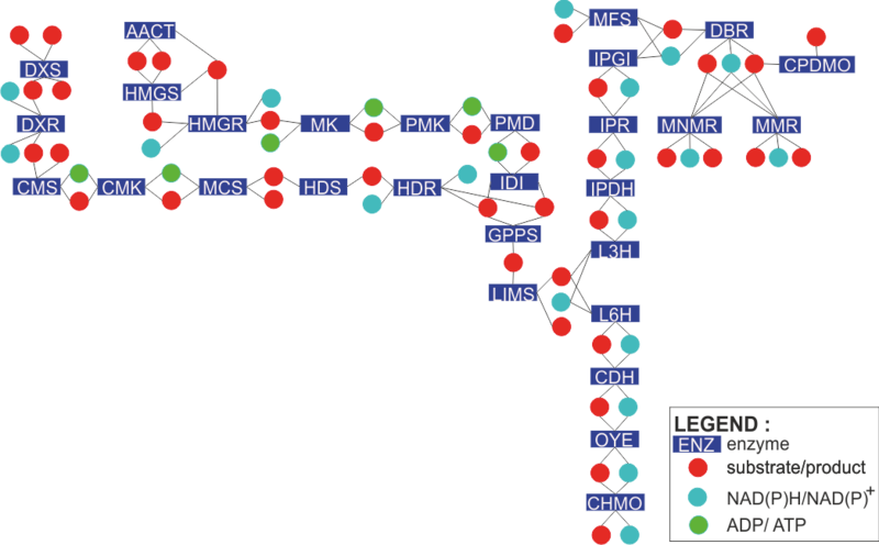 Schematic representation of the monoterpenoid biosynthesis network being modelled